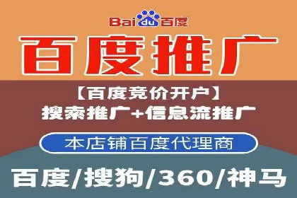 不同平台的SEM广告投放比较及成功案例分析